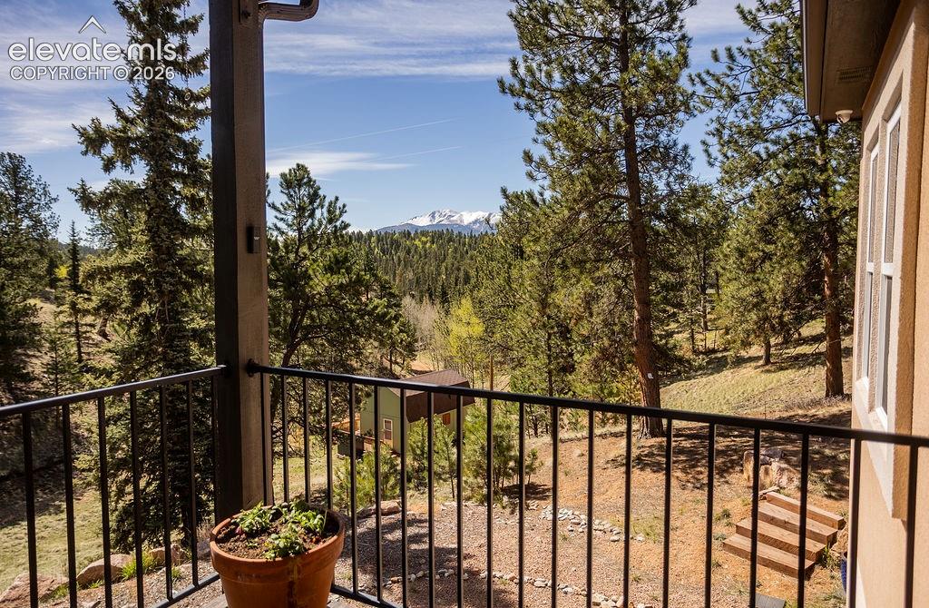 45 Valley Circle Divide CO 80814