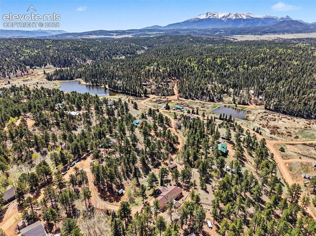 45 Valley Circle Divide CO 80814
