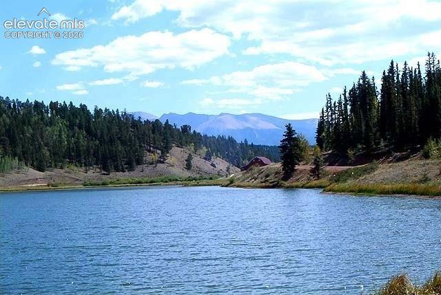 45 Valley Circle Divide CO 80814