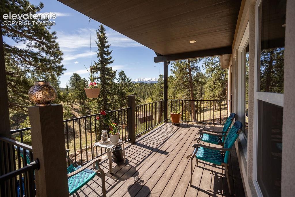 45 Valley Circle Divide CO 80814