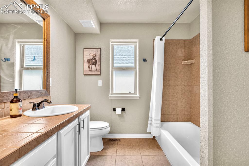 313 Milton Street Palmer Lake CO 80133
