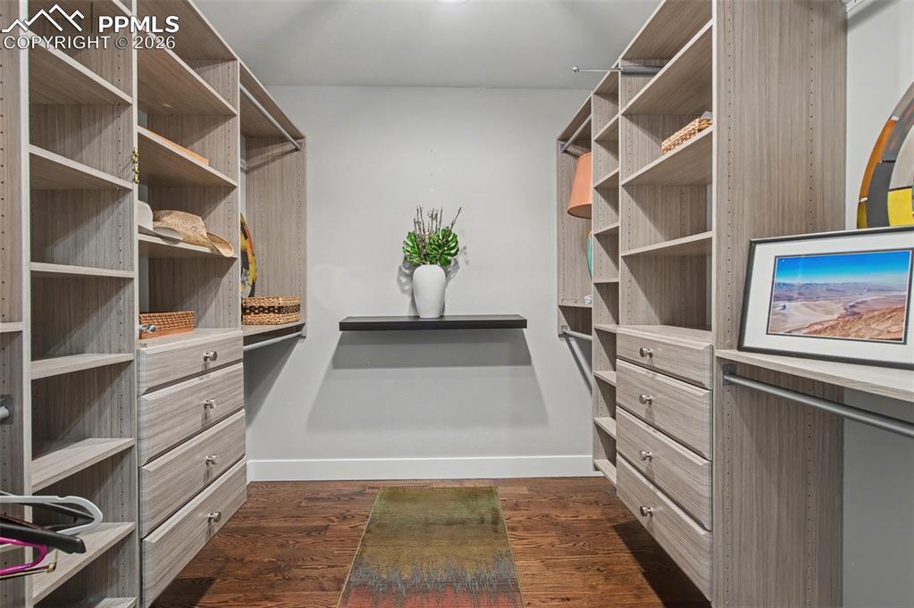 704 Count Pourtales Drive Colorado Springs CO 80906