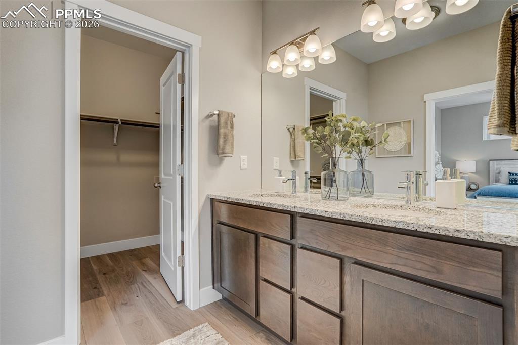 8762 Swagger Drive Colorado Springs CO 80924
