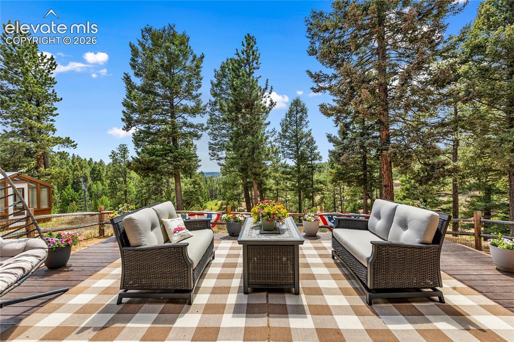 185 Bear Lake Circle Divide CO 80814