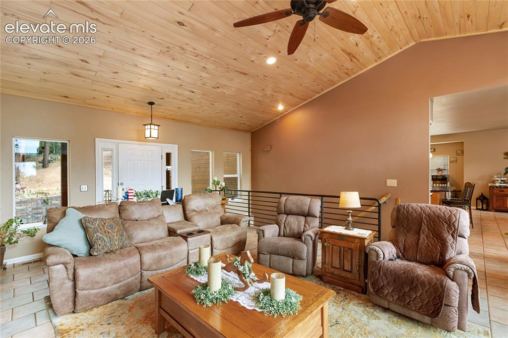 185 Bear Lake Circle Divide CO 80814