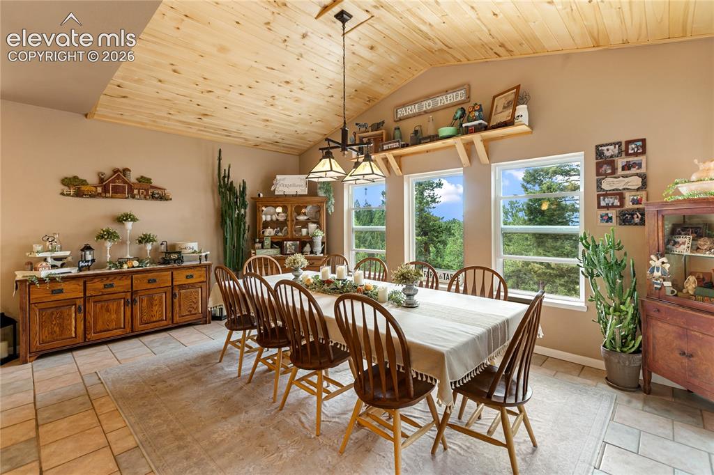 185 Bear Lake Circle Divide CO 80814