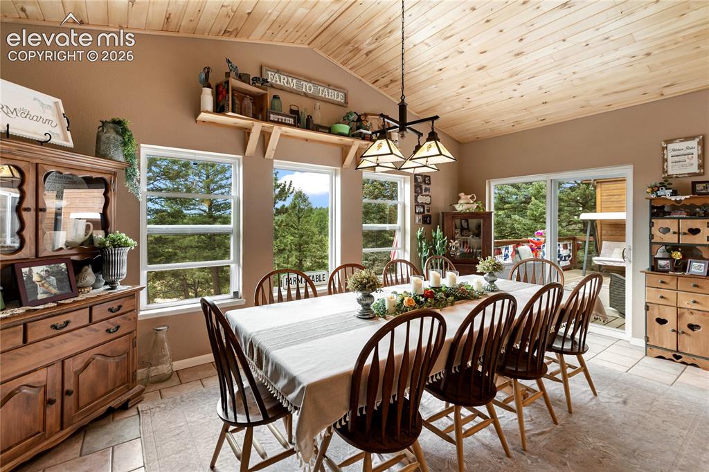 185 Bear Lake Circle Divide CO 80814