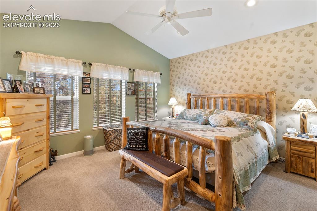 185 Bear Lake Circle Divide CO 80814