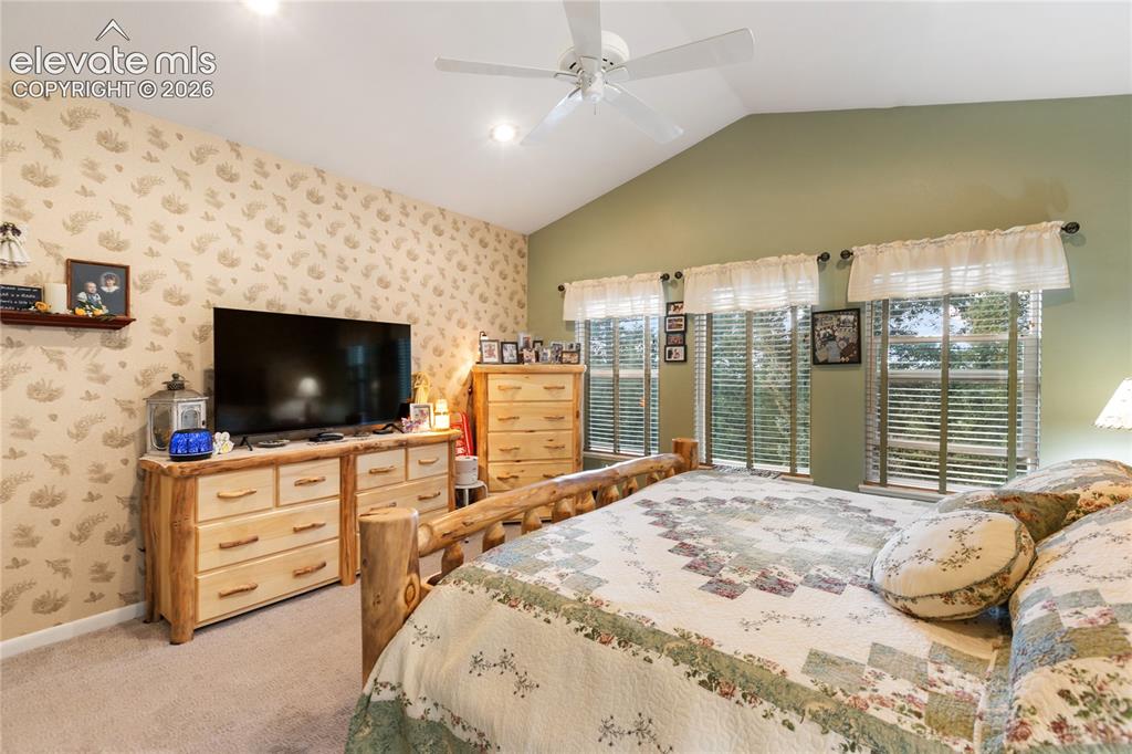 185 Bear Lake Circle Divide CO 80814
