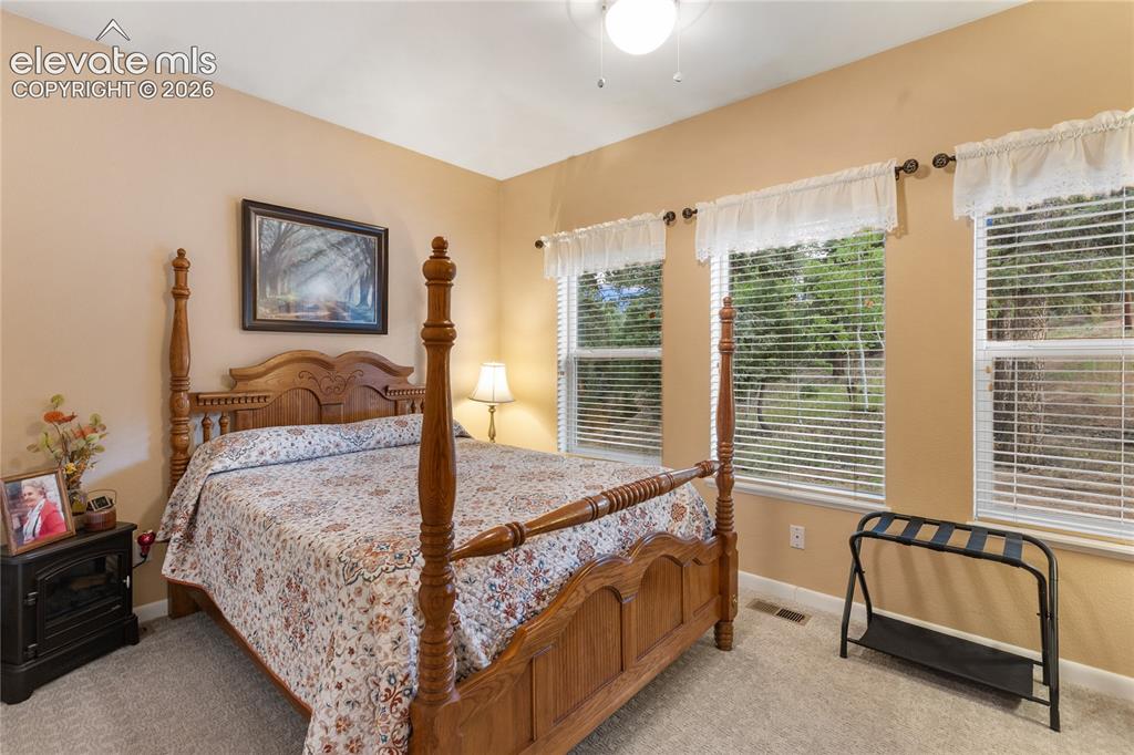 185 Bear Lake Circle Divide CO 80814