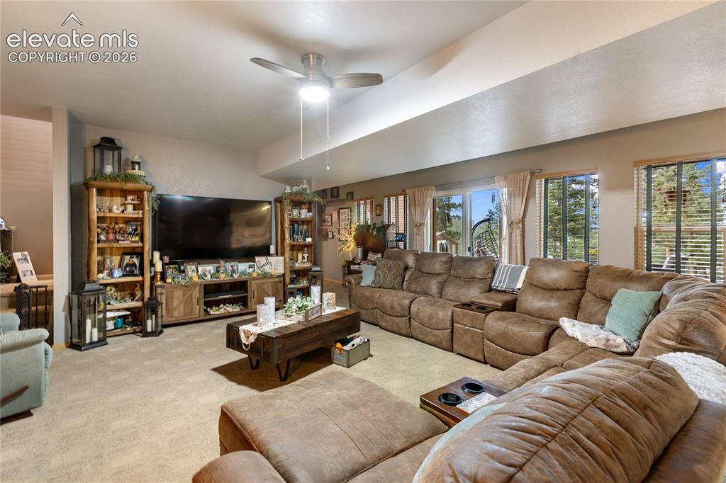 185 Bear Lake Circle Divide CO 80814