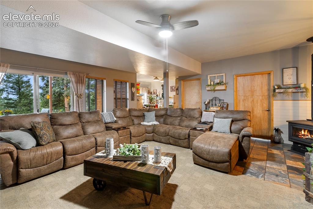 185 Bear Lake Circle Divide CO 80814