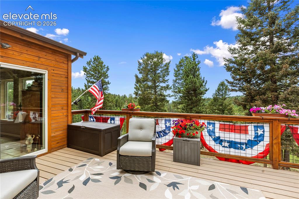 185 Bear Lake Circle Divide CO 80814