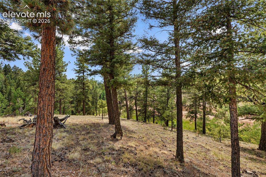 185 Bear Lake Circle Divide CO 80814