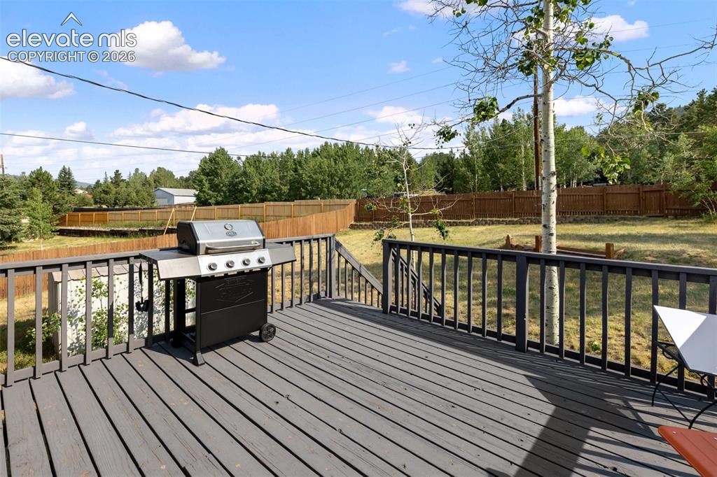 720 W Northwoods Drive Woodland Park CO 80863