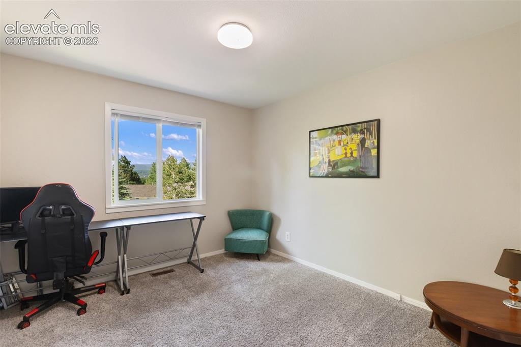 720 W Northwoods Drive Woodland Park CO 80863