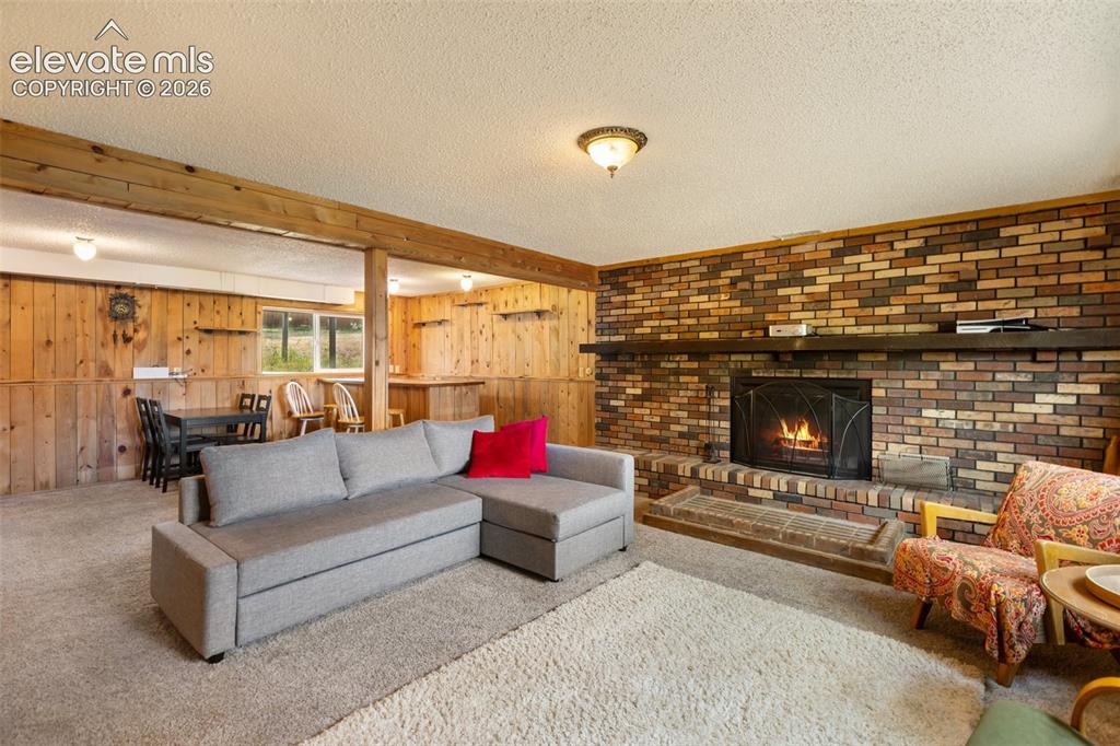 720 W Northwoods Drive Woodland Park CO 80863