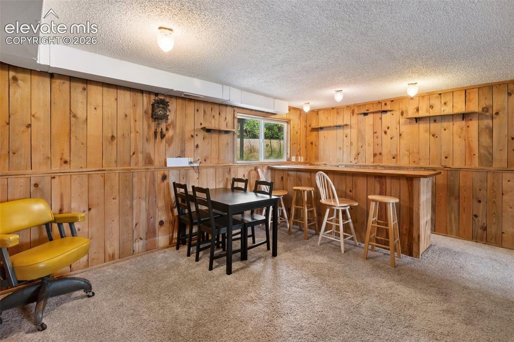 720 W Northwoods Drive Woodland Park CO 80863