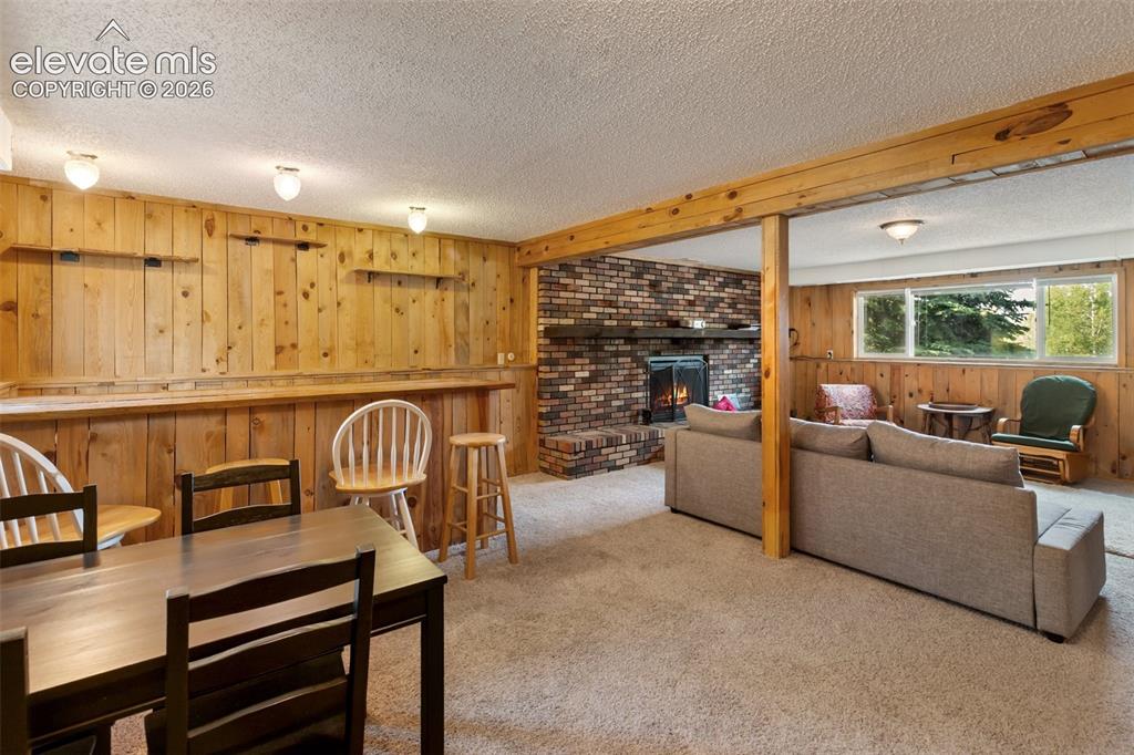 720 W Northwoods Drive Woodland Park CO 80863