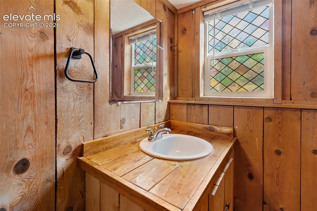 720 W Northwoods Drive Woodland Park CO 80863