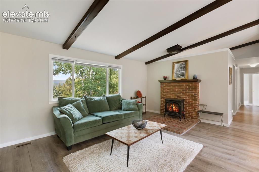720 W Northwoods Drive Woodland Park CO 80863