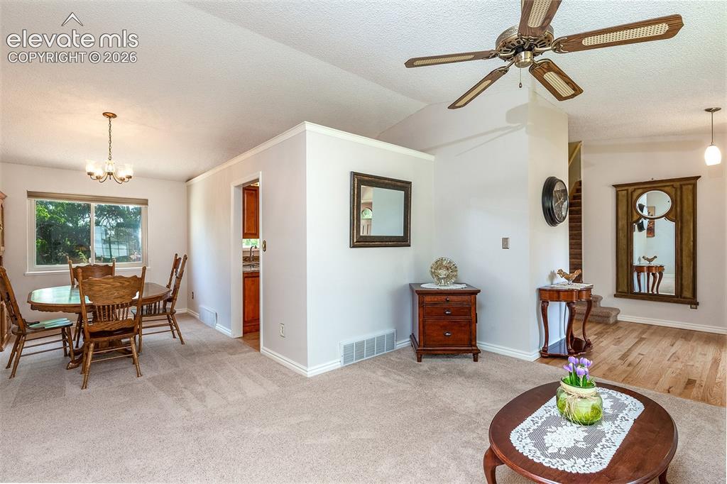 8055 Candleflower Circle Colorado Springs CO 80920