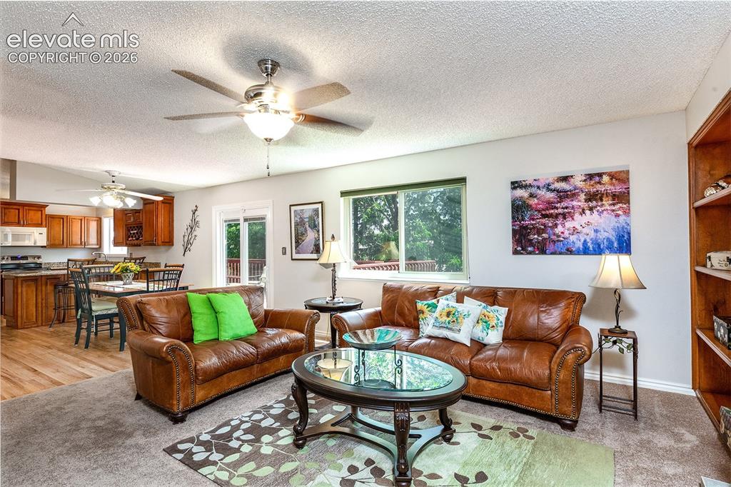 8055 Candleflower Circle Colorado Springs CO 80920