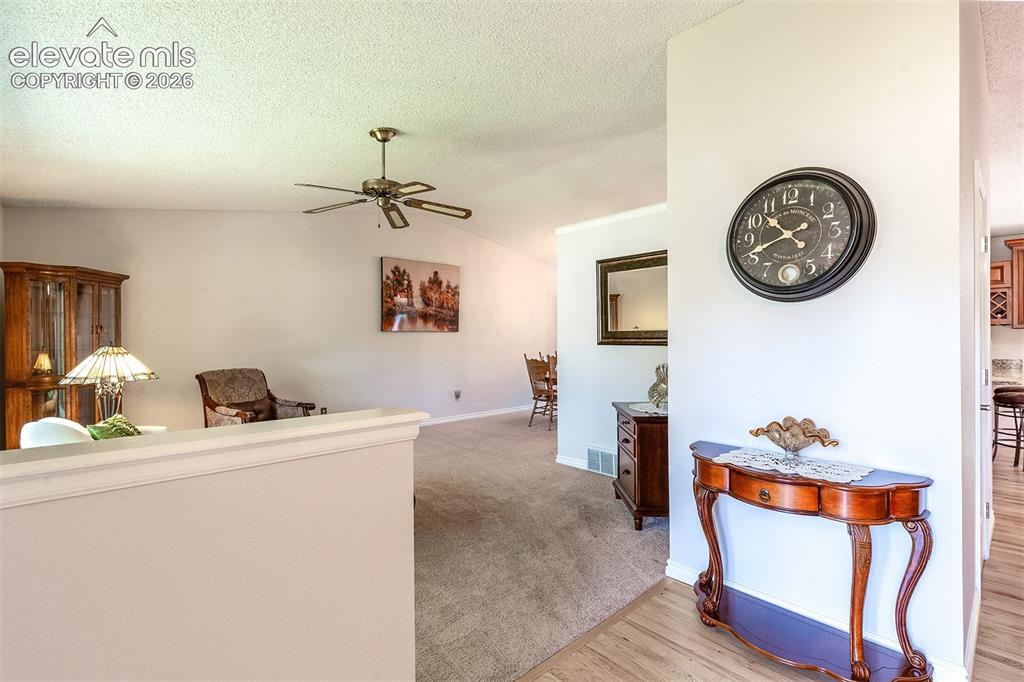 8055 Candleflower Circle Colorado Springs CO 80920