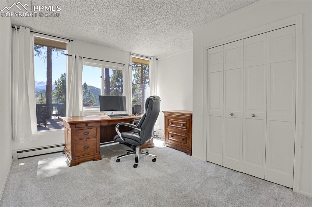 240 Sun Ridge Court Woodland Park CO 80863