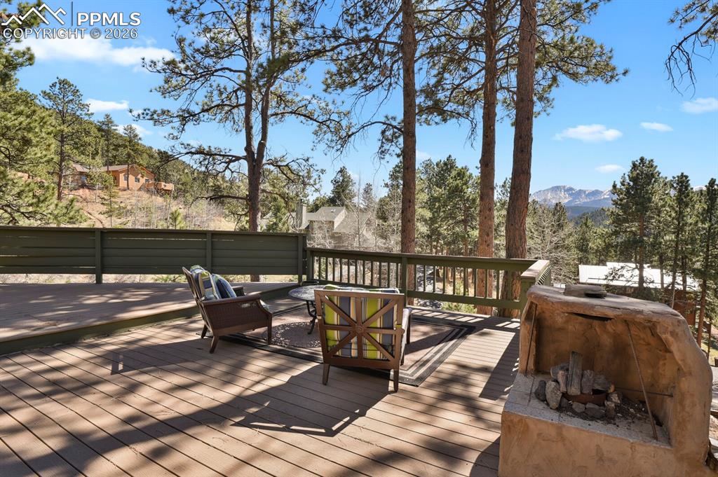 240 Sun Ridge Court Woodland Park CO 80863