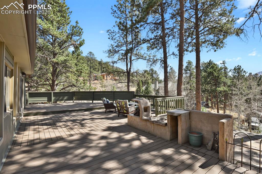240 Sun Ridge Court Woodland Park CO 80863
