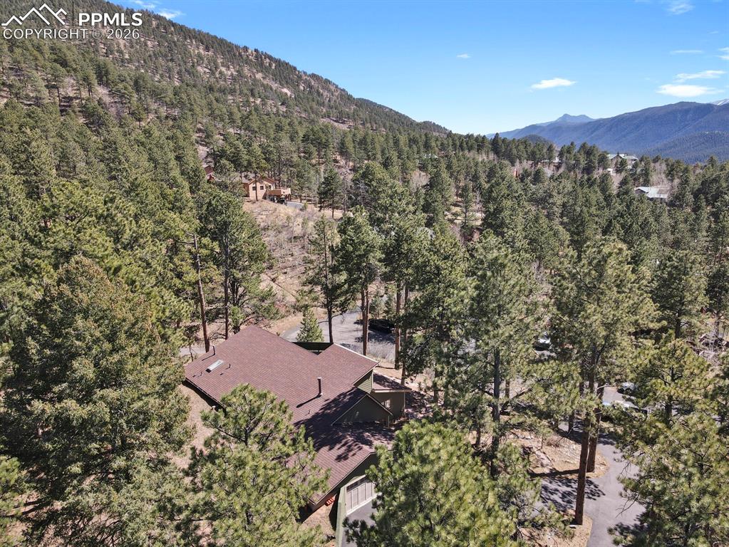 240 Sun Ridge Court Woodland Park CO 80863