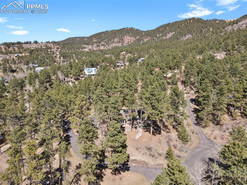 240 Sun Ridge Court Woodland Park CO 80863