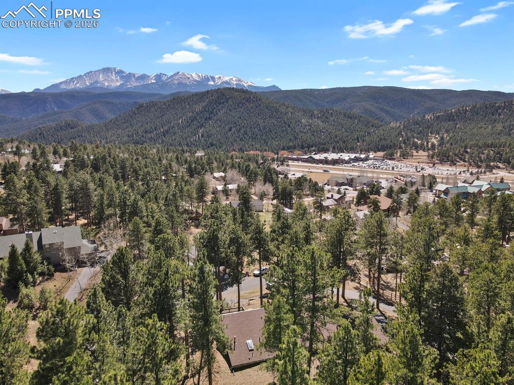 240 Sun Ridge Court Woodland Park CO 80863
