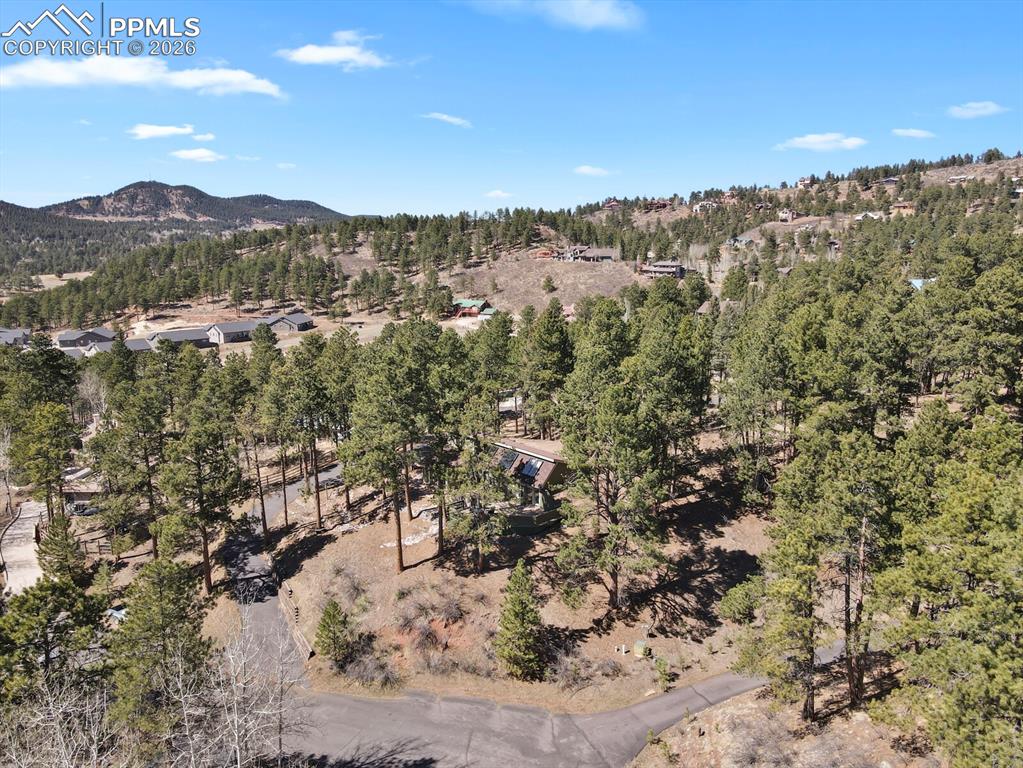 240 Sun Ridge Court Woodland Park CO 80863