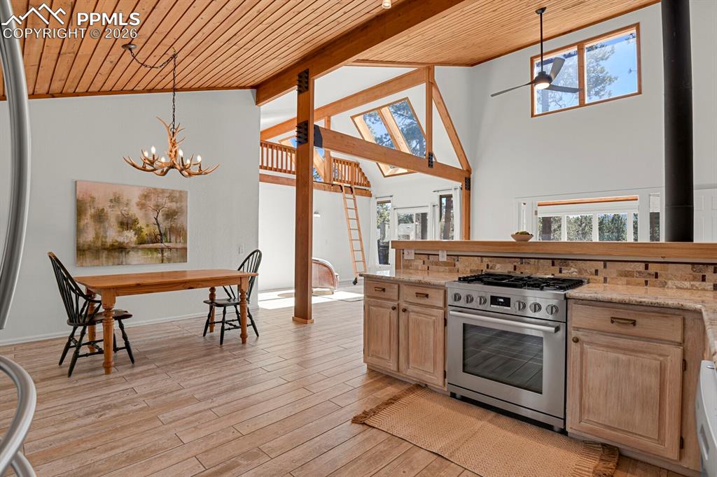 240 Sun Ridge Court Woodland Park CO 80863