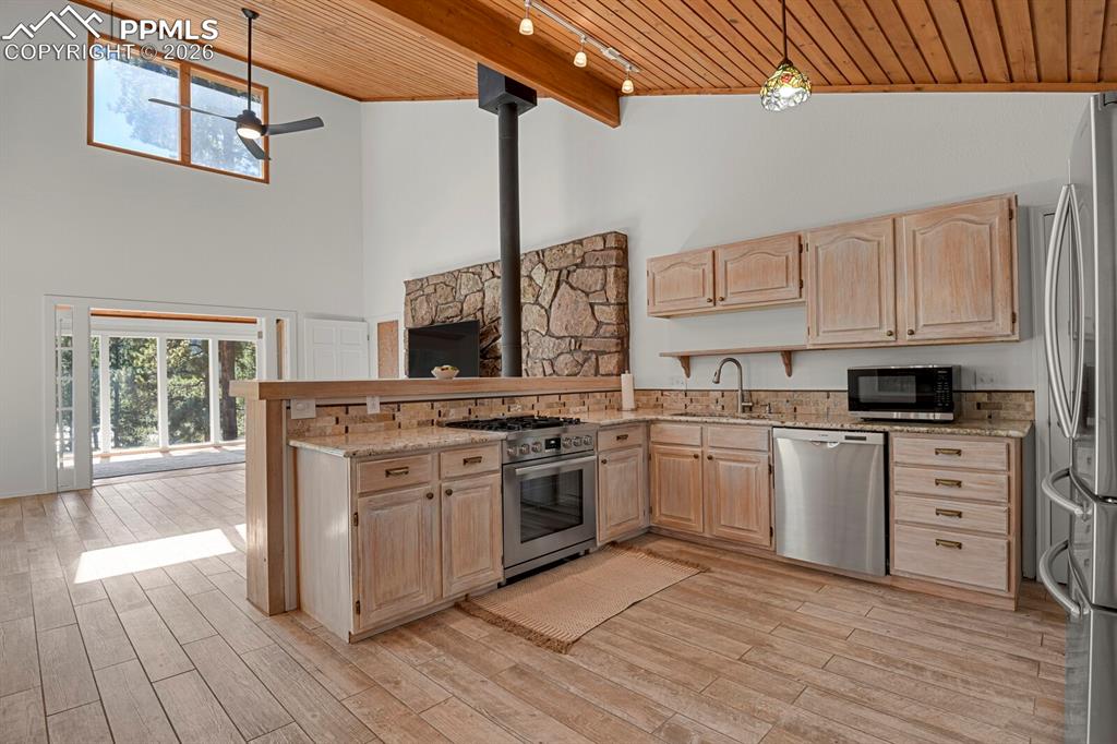 240 Sun Ridge Court Woodland Park CO 80863