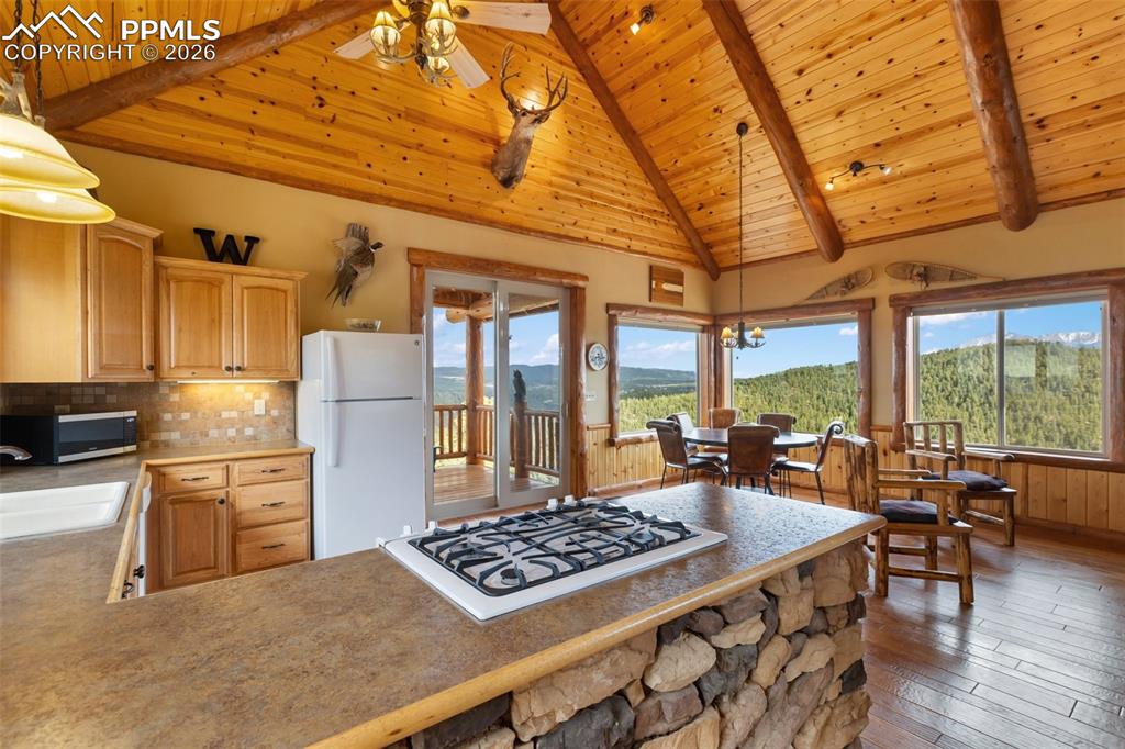 29549 N Highway 67 Woodland Park CO 80863