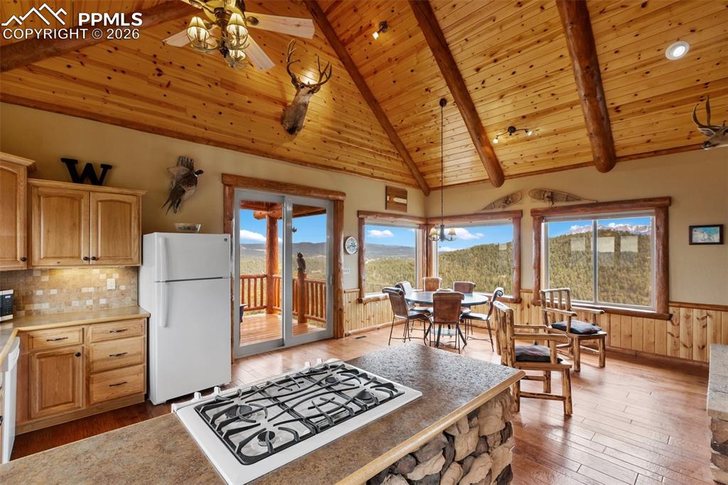29549 N Highway 67 Woodland Park CO 80863