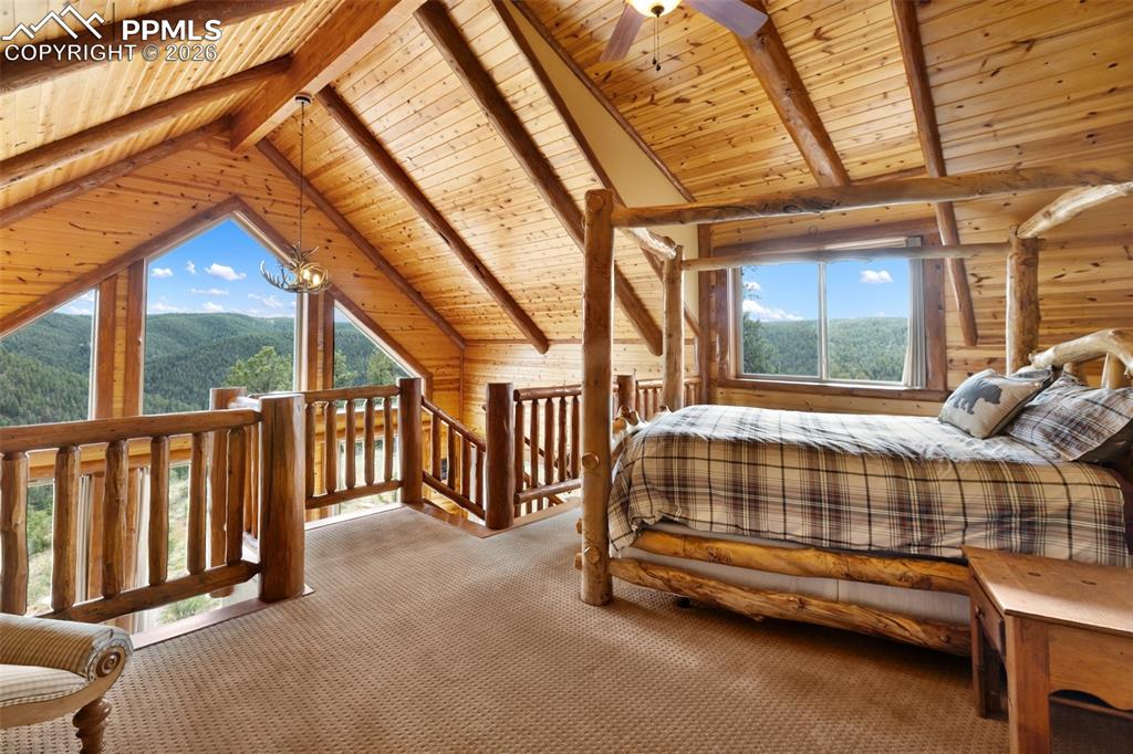 29549 N Highway 67 Woodland Park CO 80863