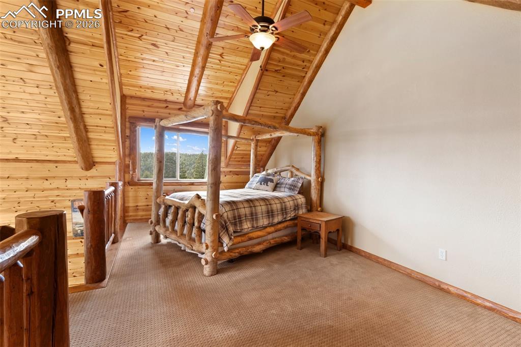29549 N Highway 67 Woodland Park CO 80863