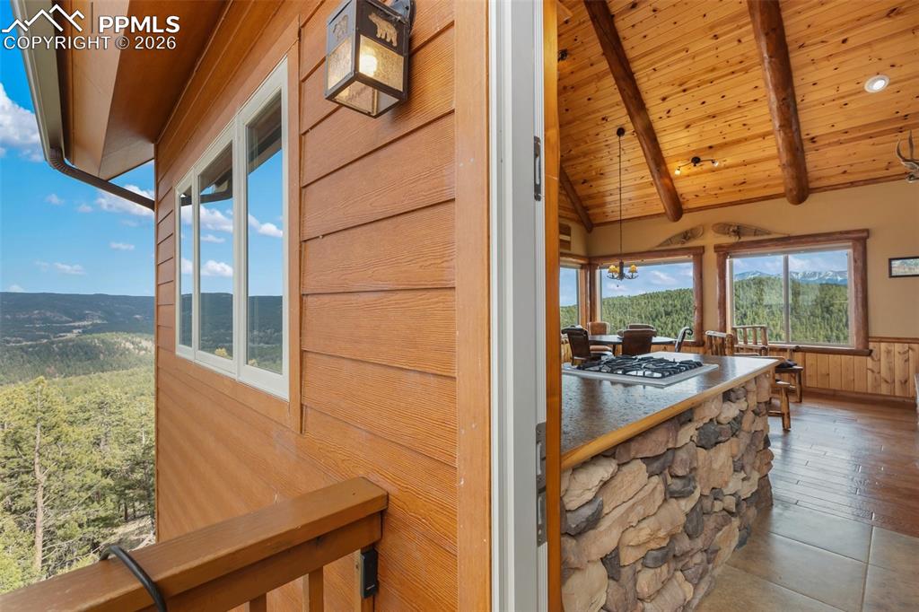 29549 N Highway 67 Woodland Park CO 80863