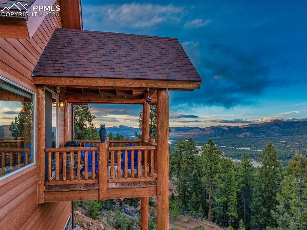 29549 N Highway 67 Woodland Park CO 80863