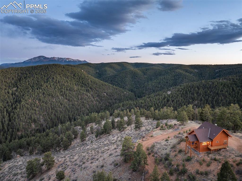 29549 N Highway 67 Woodland Park CO 80863