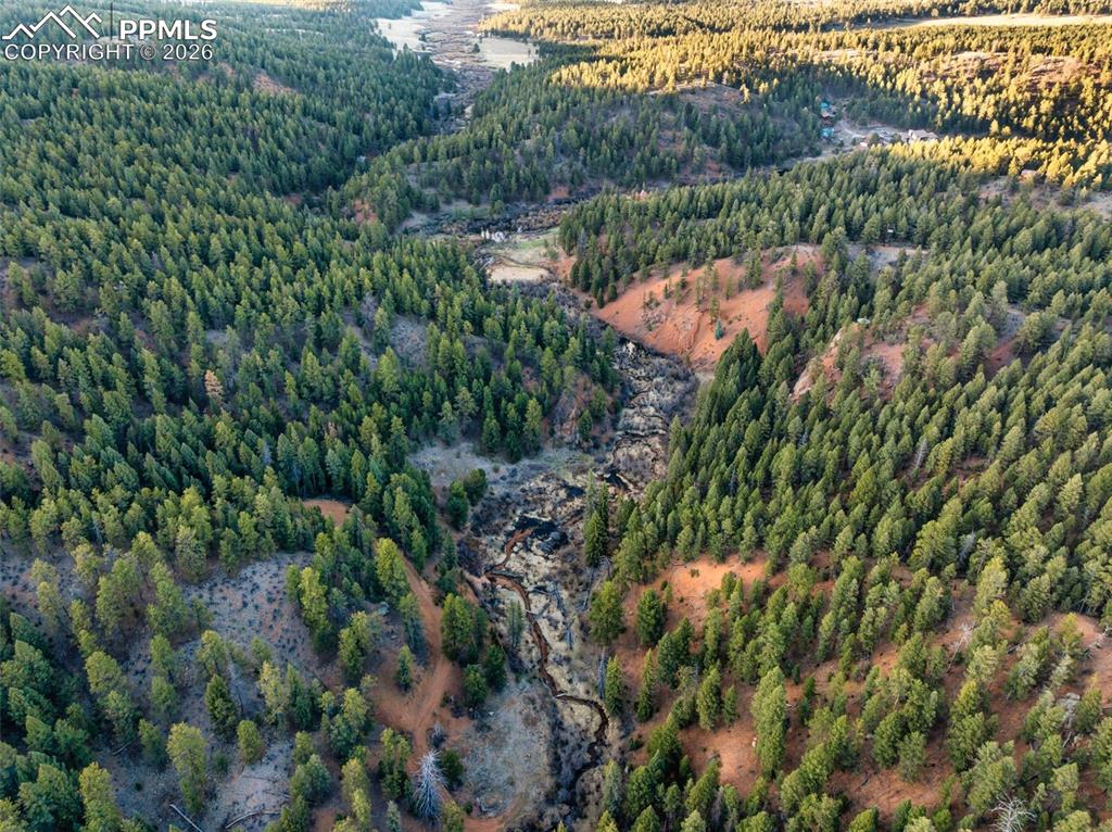 29549 N Highway 67 Woodland Park CO 80863