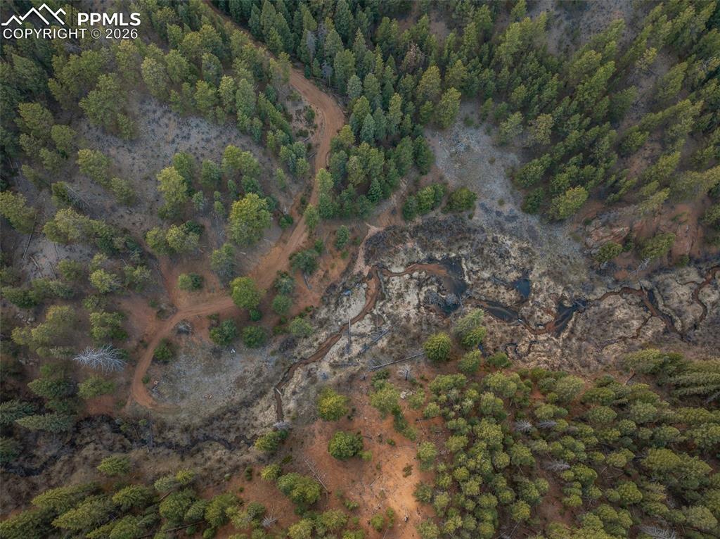 29549 N Highway 67 Woodland Park CO 80863