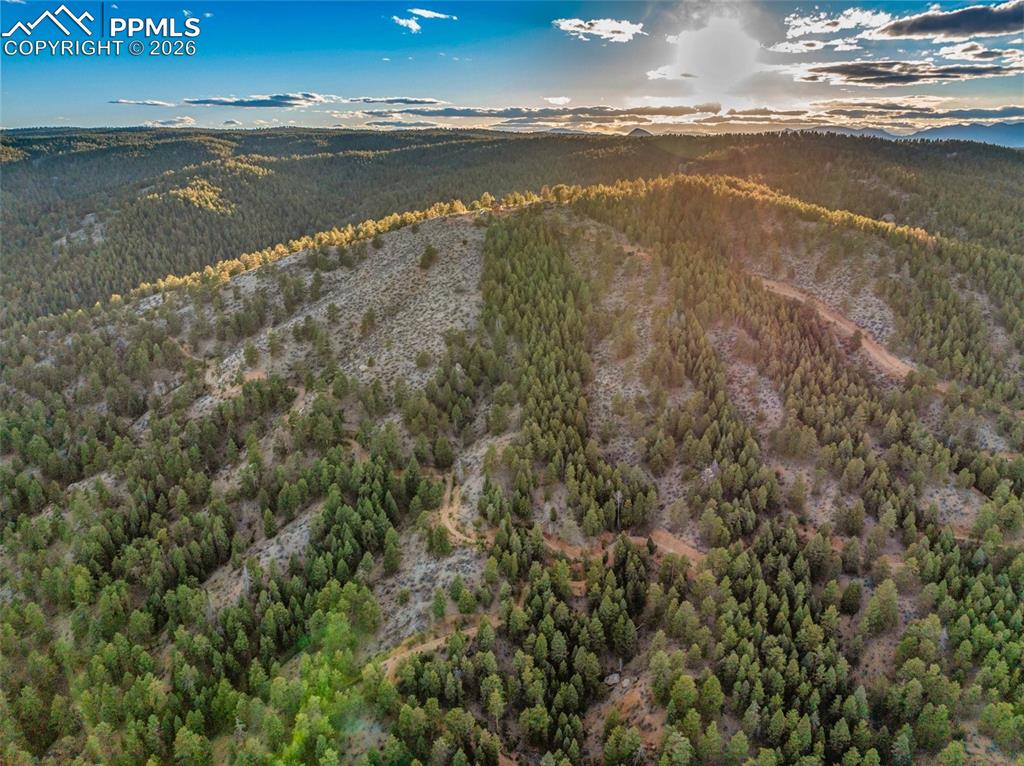 29549 N Highway 67 Woodland Park CO 80863