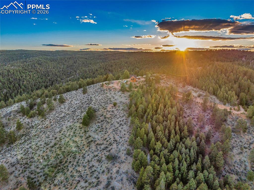 29549 N Highway 67 Woodland Park CO 80863