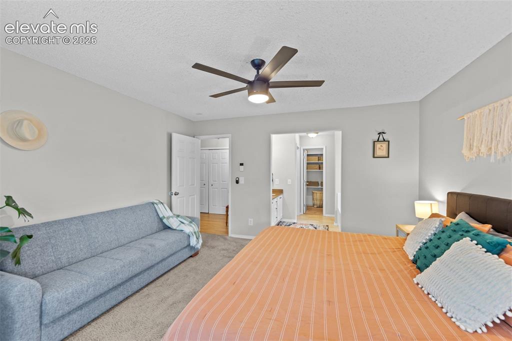 5770 Corinth Drive Colorado Springs CO 80923