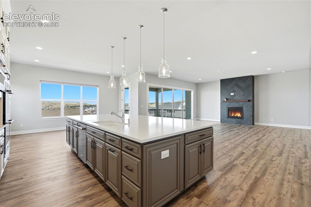 851 Alumroot Street Castle Rock CO 80104